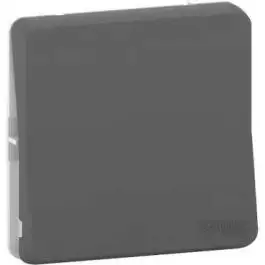 Mureva Styl - Va et vient - composable - IP55 - IK08 - connexion auto - gris