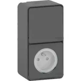 Mureva Styl - Prise courant 2P+T+va et vient verti. - saillie - IP55 IK08 - gris