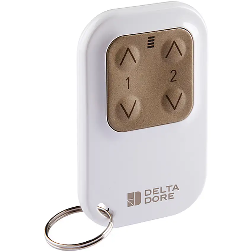 Delta Dore - TYXIA 1400 télécommande 2 voies porte clé - 6351388