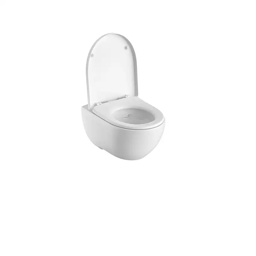Geberit - Pack cuvette WC suspendue Erea Rimfree Geberit - 502.967.00.1