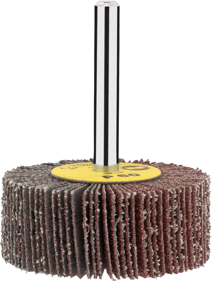 Bosch Professional - Roue a Lamelles 6 mm, 120, 60 mm, 40 mm - 2609200185